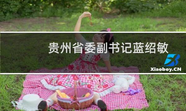 贵州省委副书记蓝绍敏