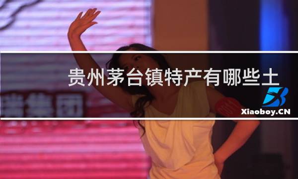 贵州茅台镇特产有哪些土特产图片