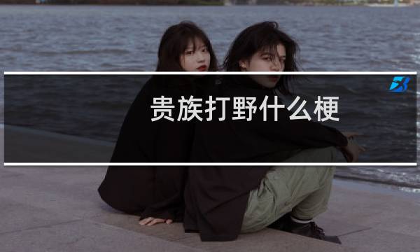 贵族打野什么梗