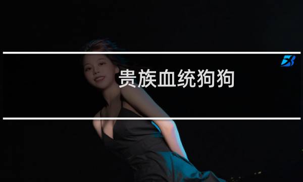贵族血统狗狗（贵族血统）图片