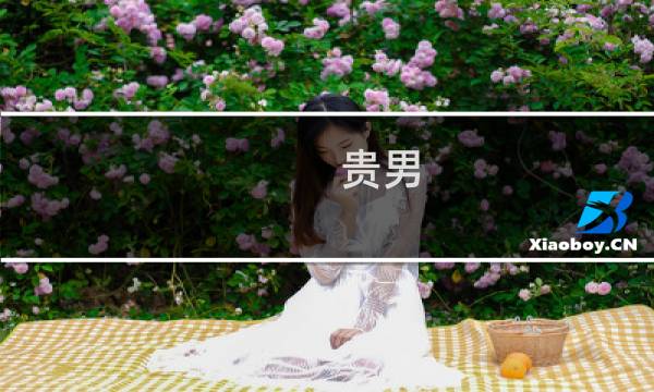 贵男 贵男什么梗