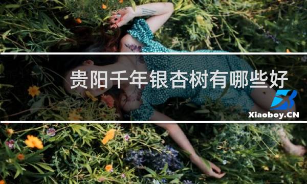 贵阳千年银杏树有哪些好玩的地方