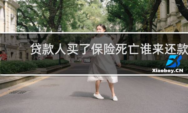贷款人买了保险死亡谁来还款
