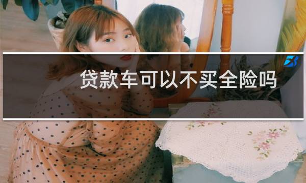 贷款车可以不买全险吗