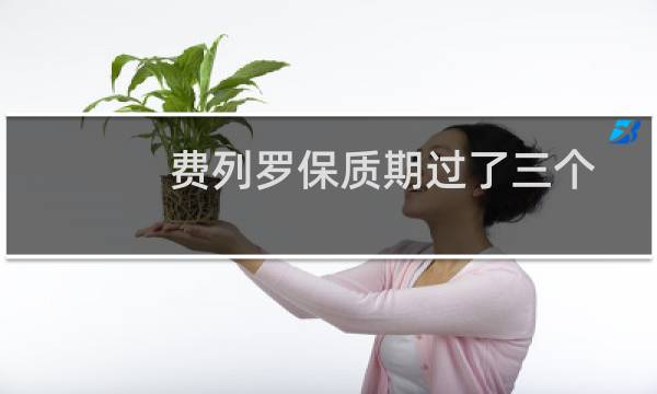 费列罗保质期过了三个月可以吃吗（费列罗过期多久还能吃）图片