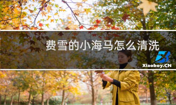 费雪的小海马怎么清洗(费雪小海马怎么用)