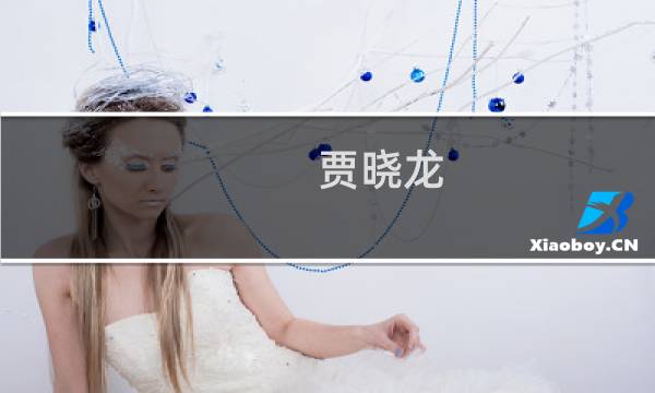 贾晓龙