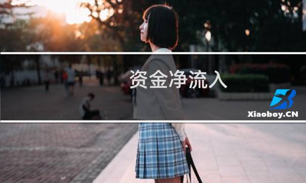 资金净流入