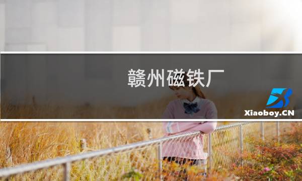 赣州磁铁厂