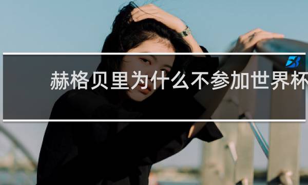 赫格贝里为什么不参加世界杯