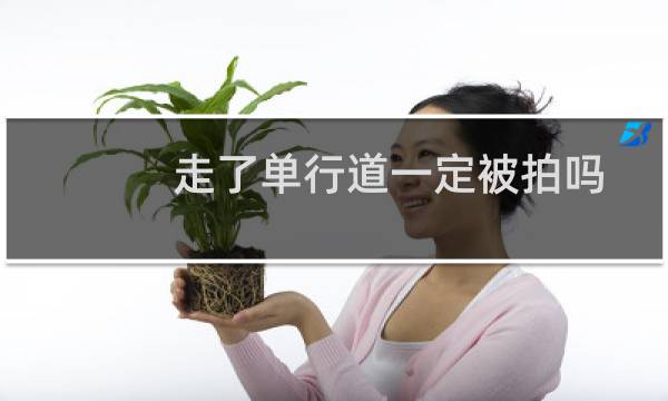 走了单行道一定被拍吗