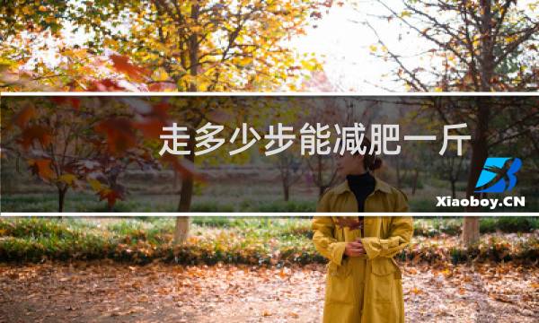 走多少步能减肥一斤