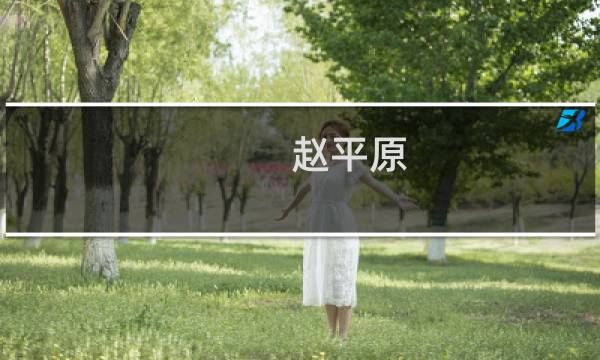 赵平原(地道战高家庄原型?)