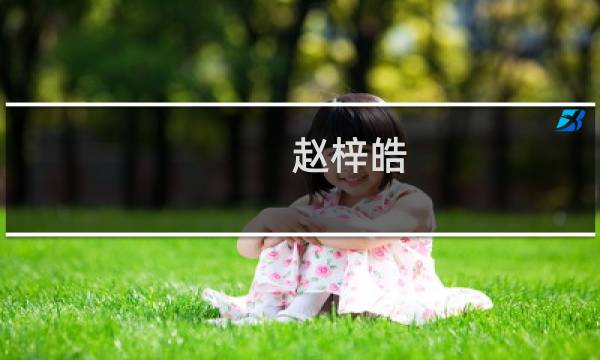 赵梓皓