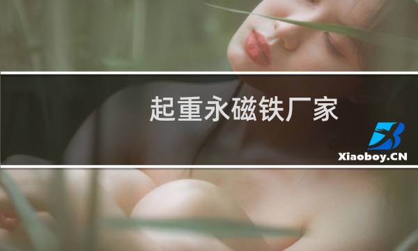 起重永磁铁厂家