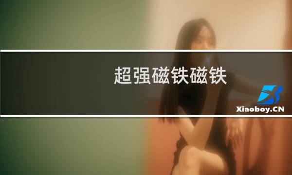 超强磁铁磁铁