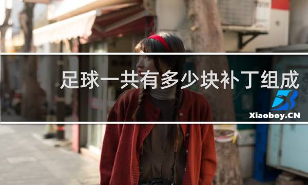 足球一共有多少块补丁组成