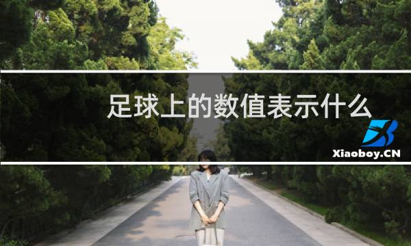 足球上的数值表示什么