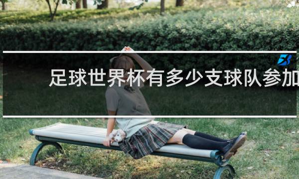 足球世界杯有多少支球队参加