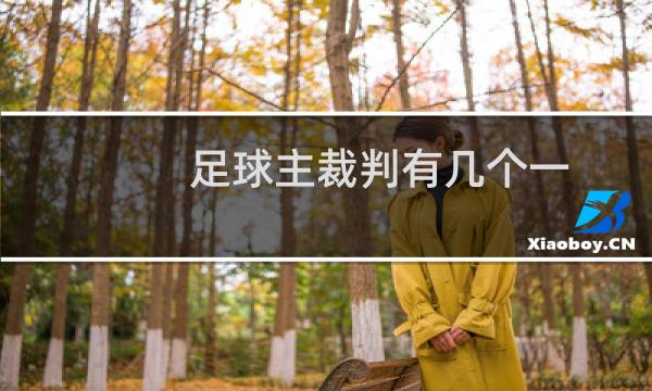 足球主裁判有几个一
