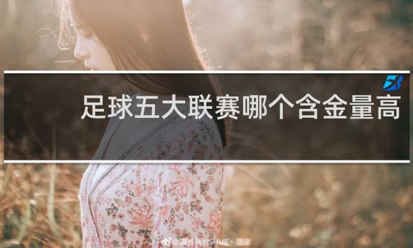 足球五大联赛哪个含金量高