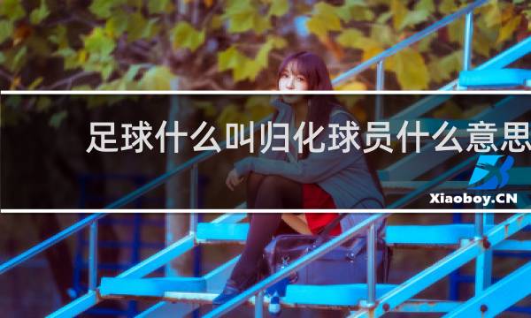足球什么叫归化球员什么意思