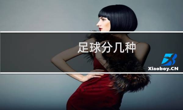足球分几种