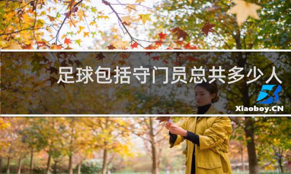 足球包括守门员总共多少人