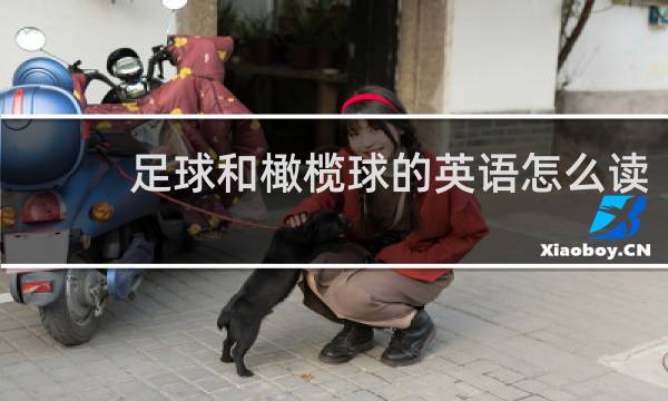 足球和橄榄球的英语怎么读