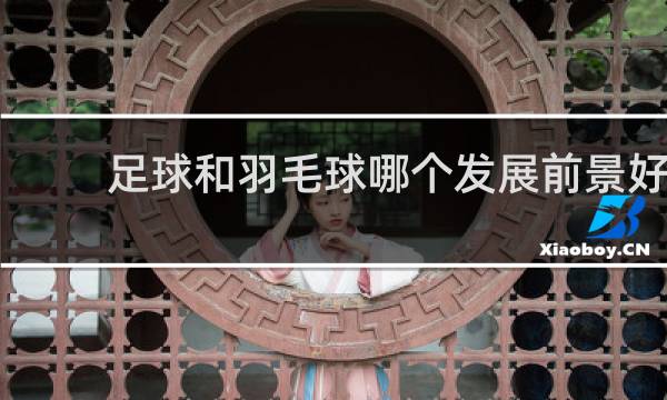 足球和羽毛球哪个发展前景好