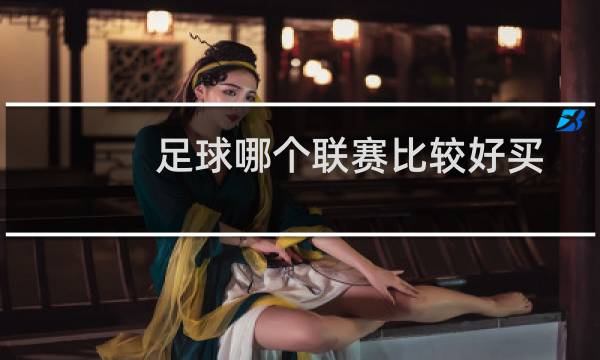 足球哪个联赛比较好买