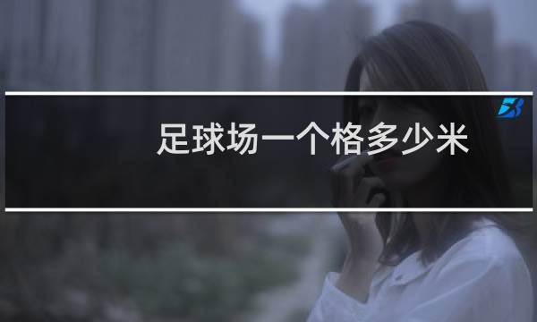 足球场一个格多少米