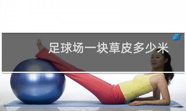 足球场一块草皮多少米
