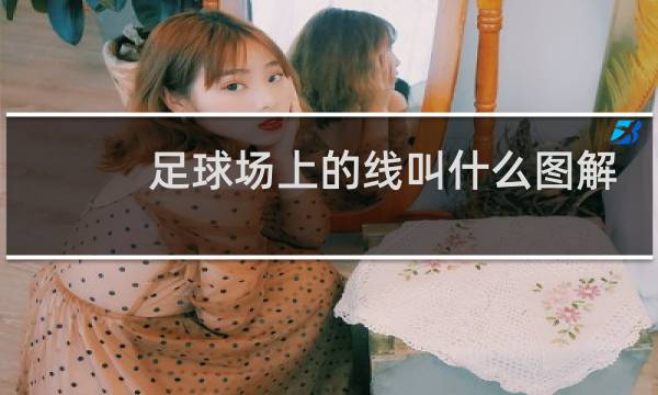 足球场上的线叫什么图解