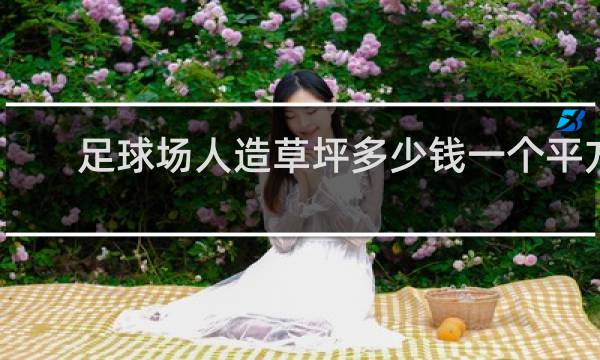 足球场人造草坪多少钱一个平方米