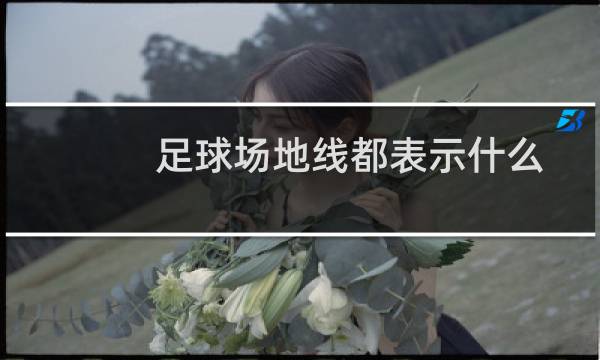 足球场地线都表示什么