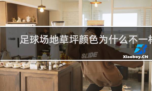 足球场地草坪颜色为什么不一样