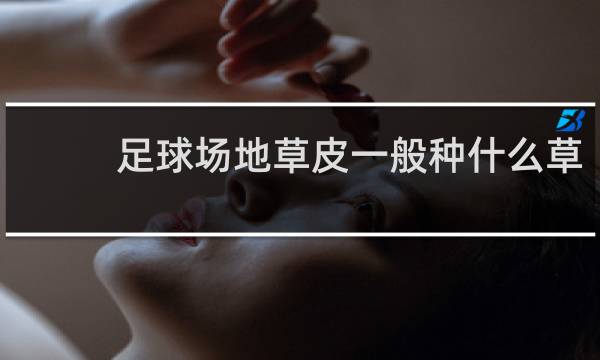足球场地草皮一般种什么草