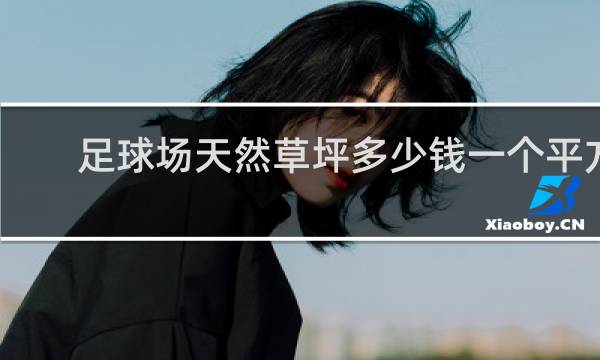 足球场天然草坪多少钱一个平方