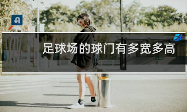 足球场的球门有多宽多高