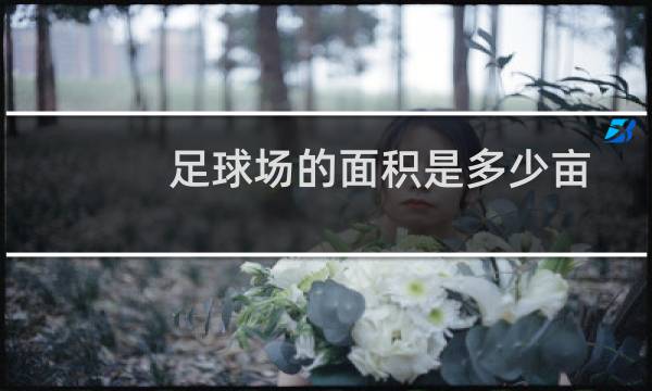 足球场的面积是多少亩