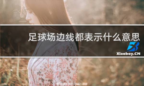 足球场边线都表示什么意思