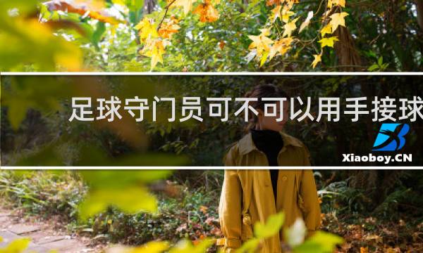 足球守门员可不可以用手接球