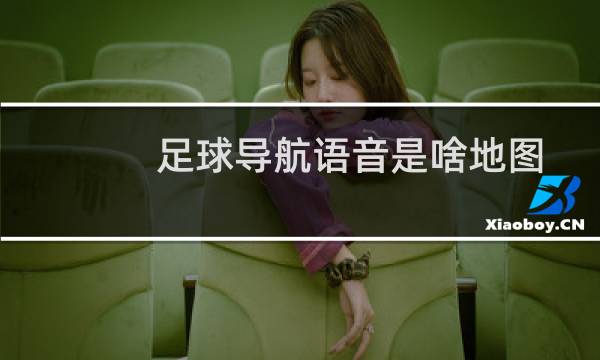 足球导航语音是啥地图