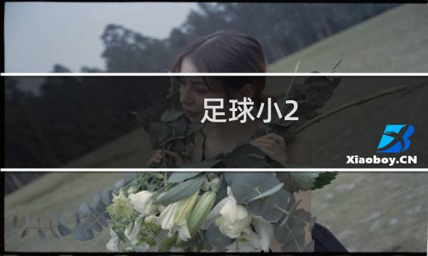 足球小2.5什么意思