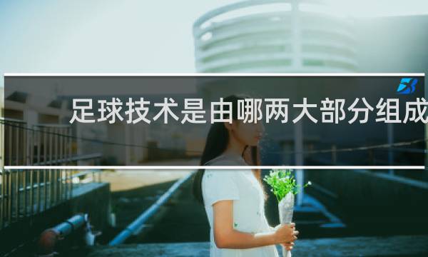 足球技术是由哪两大部分组成