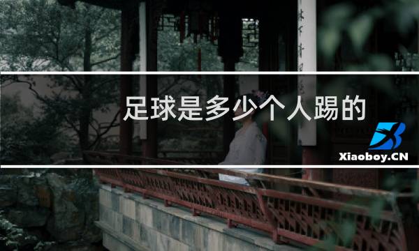 足球是多少个人踢的