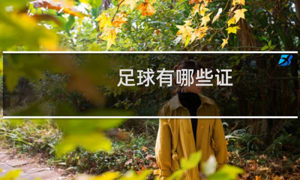 足球有哪些证