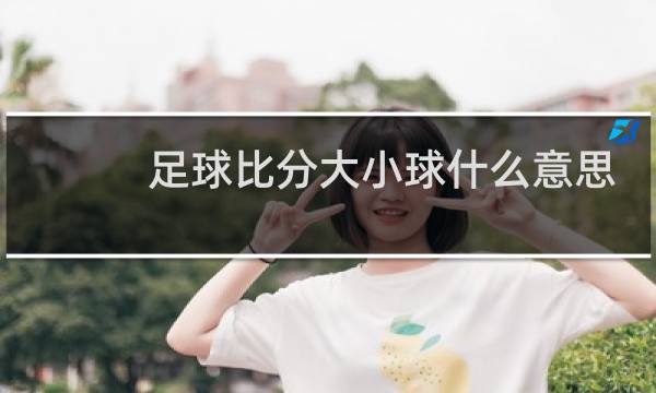 足球比分大小球什么意思