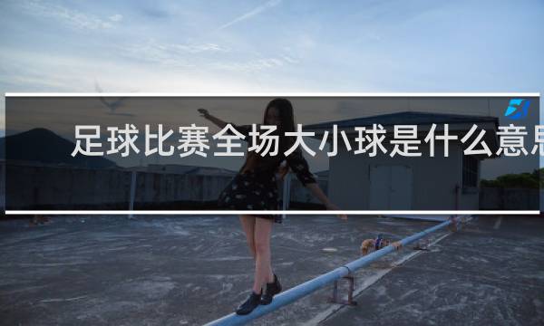 足球比赛全场大小球是什么意思
